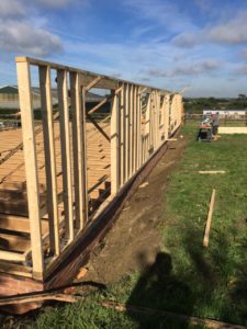 Timber home frame